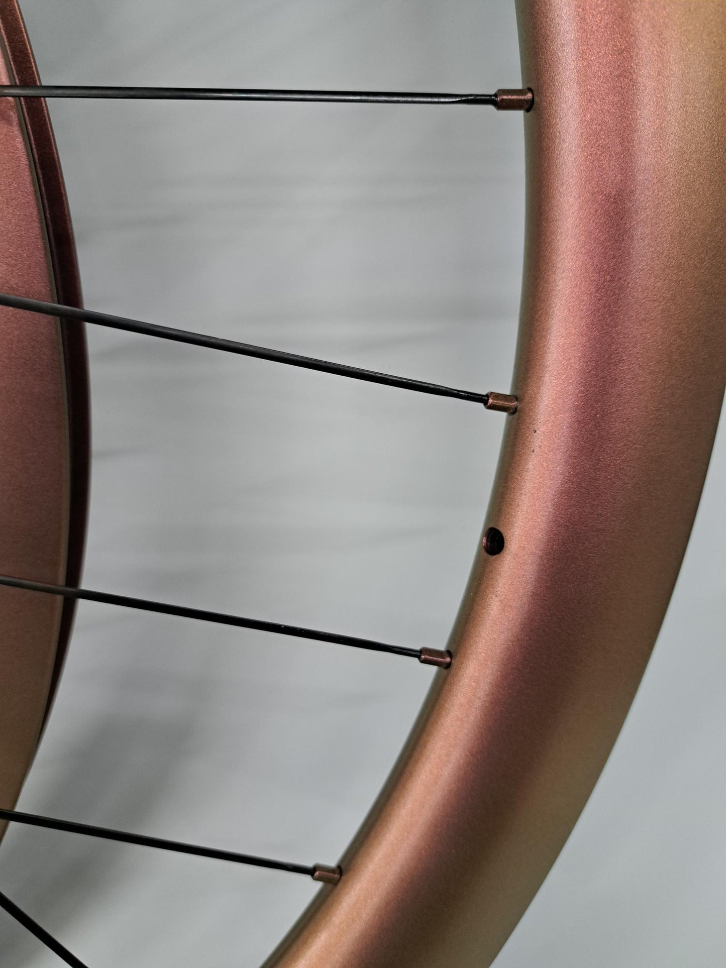 2rc Carbon Gravel Laufradsatz Tairin Silent Shogun Naben